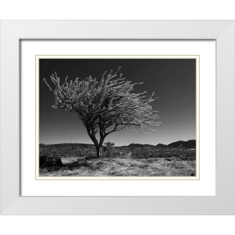 Start Spring Tree White Modern Wood Framed Art Print with Double Matting by Nalbandian, Nish