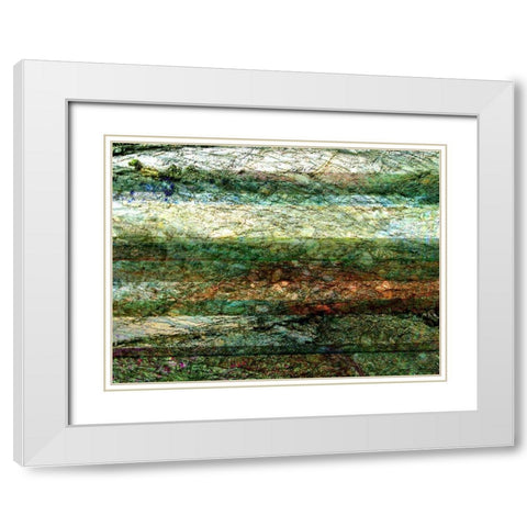 Lines of Nature I White Modern Wood Framed Art Print with Double Matting by Harrington, Danielle