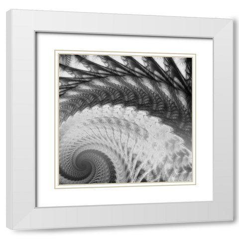 Helix I White Modern Wood Framed Art Print with Double Matting by Burghardt, James