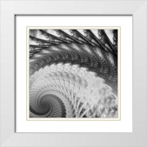 Helix I White Modern Wood Framed Art Print with Double Matting by Burghardt, James
