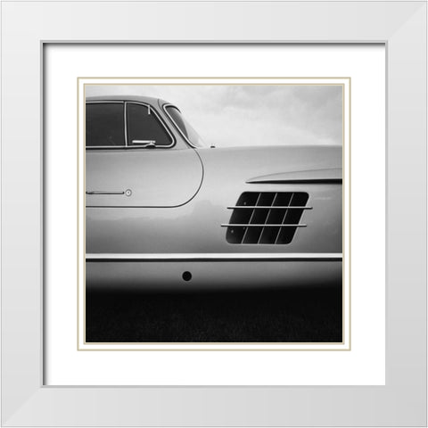 53 Gull Wing White Modern Wood Framed Art Print with Double Matting by Stein, Daniel