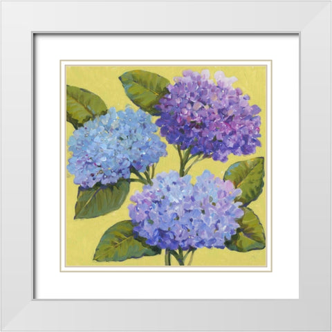 Spring Hydrangeas I White Modern Wood Framed Art Print with Double Matting by OToole, Tim