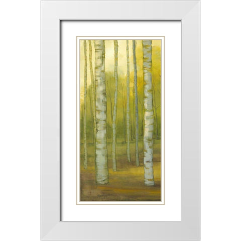 Sunny Birch Grove I White Modern Wood Framed Art Print with Double Matting by Joy, Julie