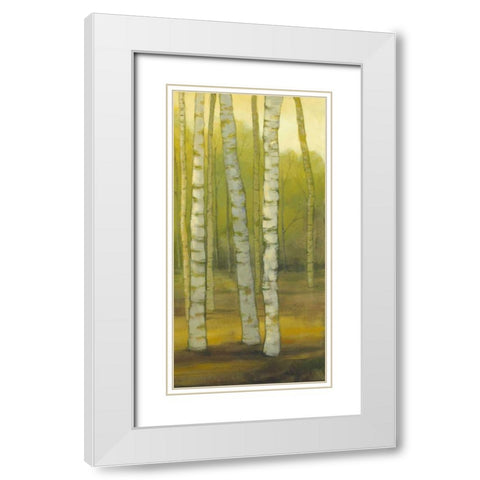 Sunny Birch Grove II White Modern Wood Framed Art Print with Double Matting by Joy, Julie