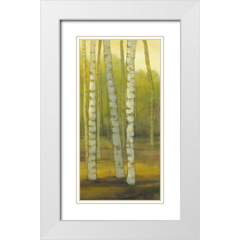 Sunny Birch Grove II White Modern Wood Framed Art Print with Double Matting by Joy, Julie