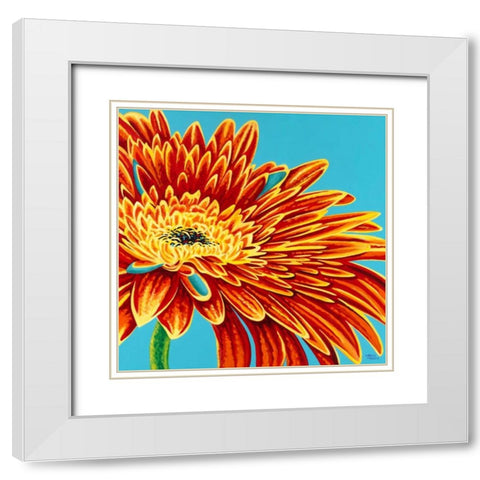 Color Bursts I White Modern Wood Framed Art Print with Double Matting by Vitaletti, Carolee