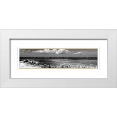 Shore Panorama VII White Modern Wood Framed Art Print with Double Matting by Pica, Jeff
