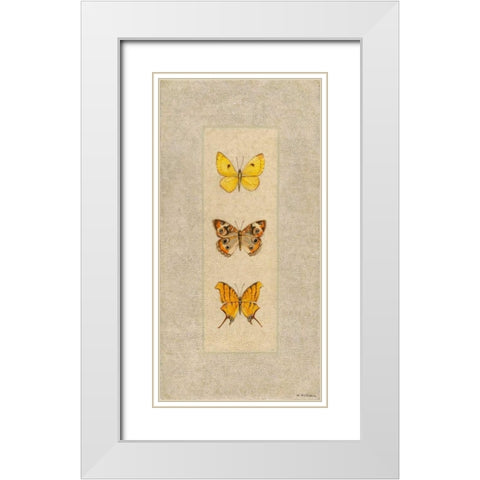 Butterfly Trio I White Modern Wood Framed Art Print with Double Matting by Russell, Wendy