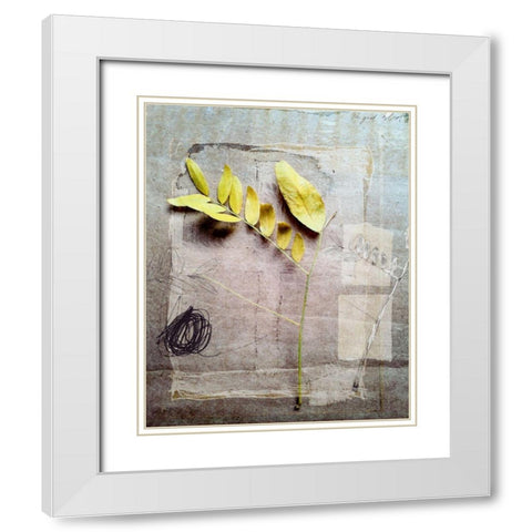 Herbarium I White Modern Wood Framed Art Print with Double Matting by Blixt, Ingrid