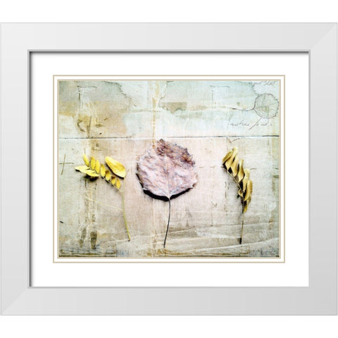 Herbarium III White Modern Wood Framed Art Print with Double Matting by Blixt, Ingrid