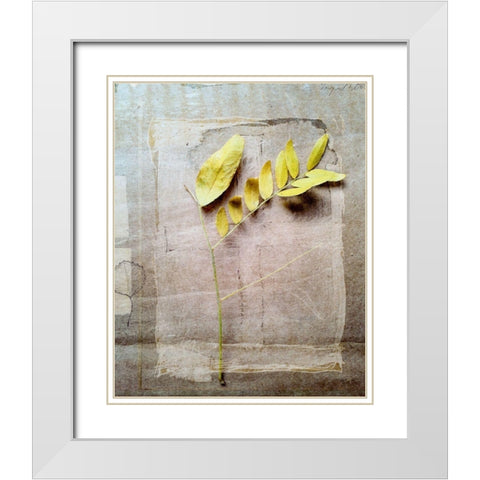 Herbarium V White Modern Wood Framed Art Print with Double Matting by Blixt, Ingrid