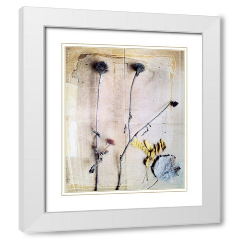 Herbarium VII White Modern Wood Framed Art Print with Double Matting by Blixt, Ingrid
