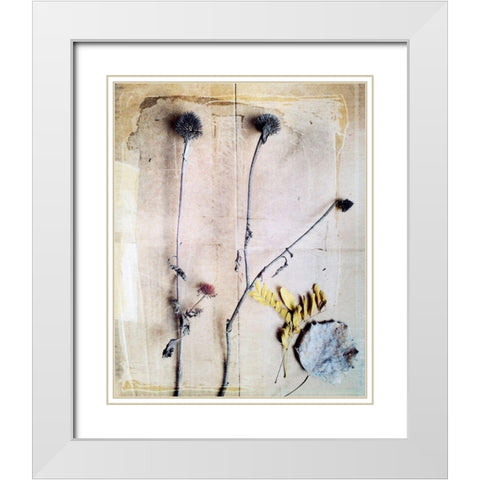 Herbarium VII White Modern Wood Framed Art Print with Double Matting by Blixt, Ingrid