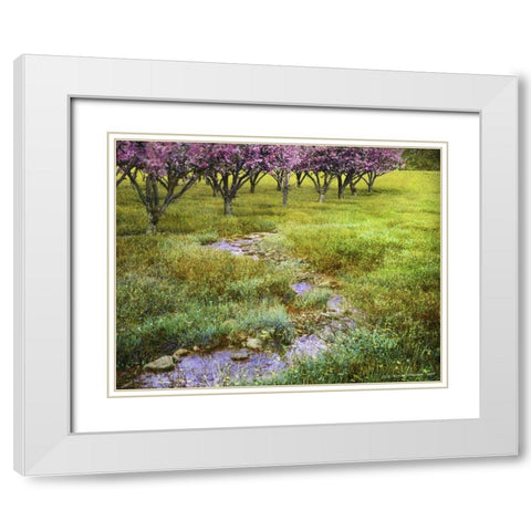 Summer Path White Modern Wood Framed Art Print with Double Matting by Vest, Chris