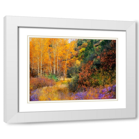 Lost Canyon Larkspurs I White Modern Wood Framed Art Print with Double Matting by Vest, Chris