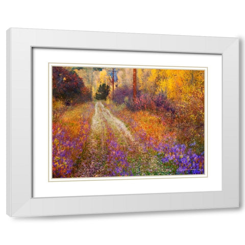 Lost Canyon Larkspurs II White Modern Wood Framed Art Print with Double Matting by Vest, Chris