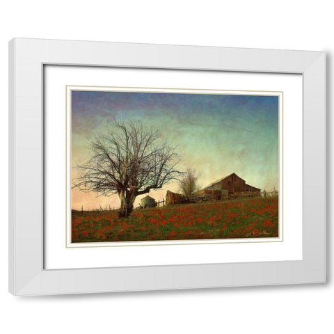 Barn on the Hill White Modern Wood Framed Art Print with Double Matting by Vest, Chris