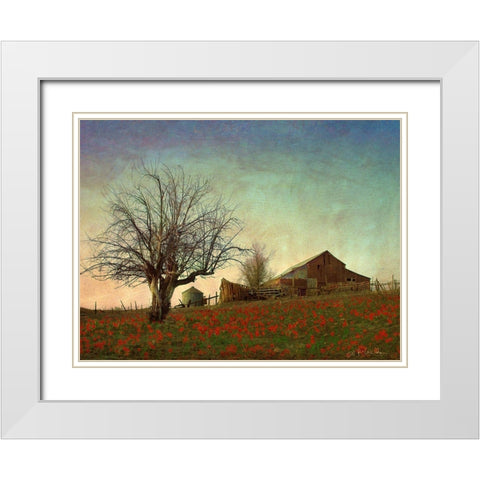 Barn on the Hill White Modern Wood Framed Art Print with Double Matting by Vest, Chris
