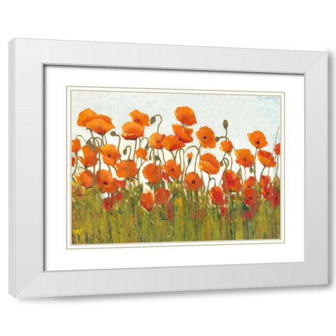 Rows of Poppies II White Modern Wood Framed Art Print with Double Matting by OToole, Tim