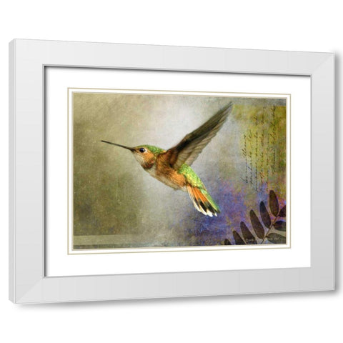 Hummer Flight White Modern Wood Framed Art Print with Double Matting by Vest, Chris