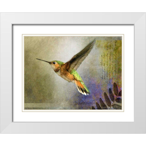 Hummer Flight White Modern Wood Framed Art Print with Double Matting by Vest, Chris