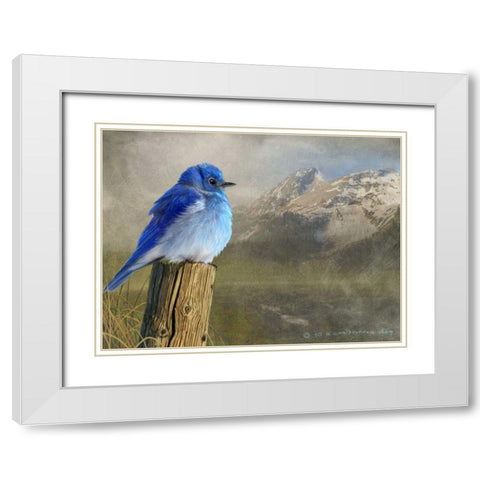 Mountain Blue Bird White Modern Wood Framed Art Print with Double Matting by Vest, Chris