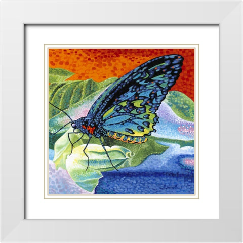 Poised Butterfly II White Modern Wood Framed Art Print with Double Matting by Vitaletti, Carolee