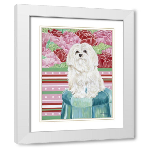 Della Rose Maltese White Modern Wood Framed Art Print with Double Matting by Vitaletti, Carolee