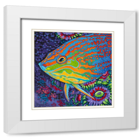 Brilliant Tropical Fish I White Modern Wood Framed Art Print with Double Matting by Vitaletti, Carolee