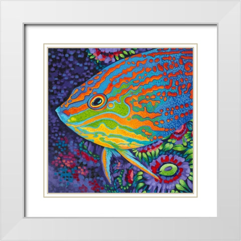 Brilliant Tropical Fish I White Modern Wood Framed Art Print with Double Matting by Vitaletti, Carolee