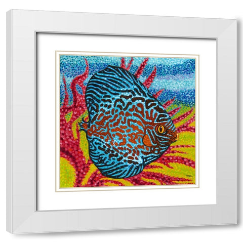 Brilliant Tropical Fish II White Modern Wood Framed Art Print with Double Matting by Vitaletti, Carolee