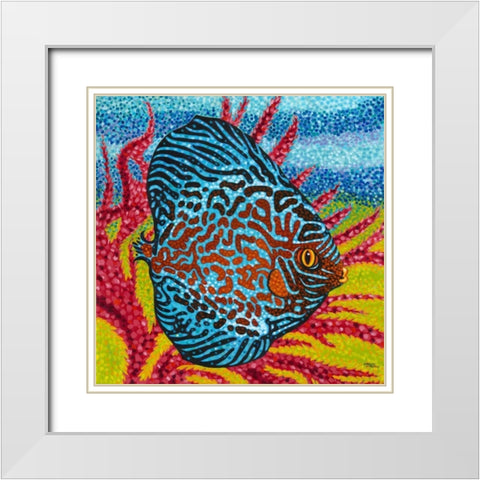 Brilliant Tropical Fish II White Modern Wood Framed Art Print with Double Matting by Vitaletti, Carolee