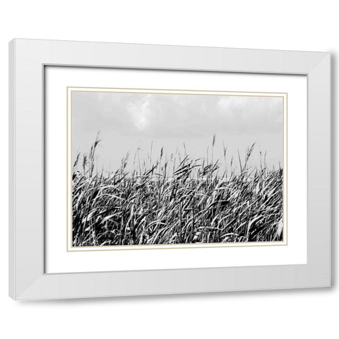 Dune Triptych I White Modern Wood Framed Art Print with Double Matting by Pica, Jeff