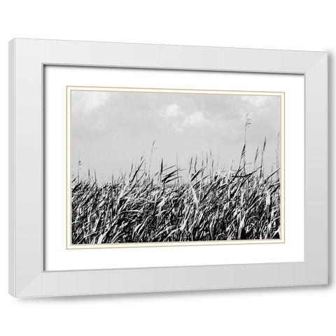 Dune Triptych II White Modern Wood Framed Art Print with Double Matting by Pica, Jeff