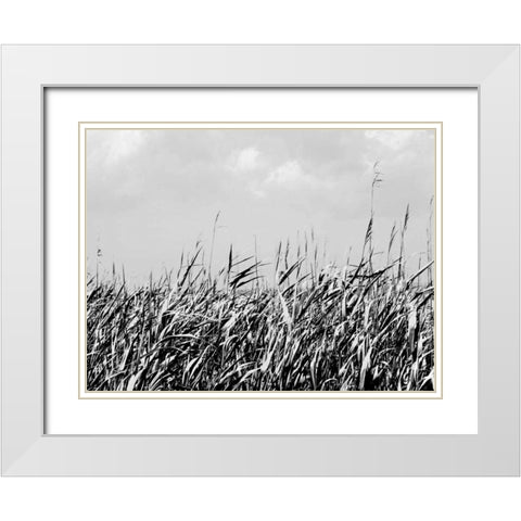 Dune Triptych II White Modern Wood Framed Art Print with Double Matting by Pica, Jeff