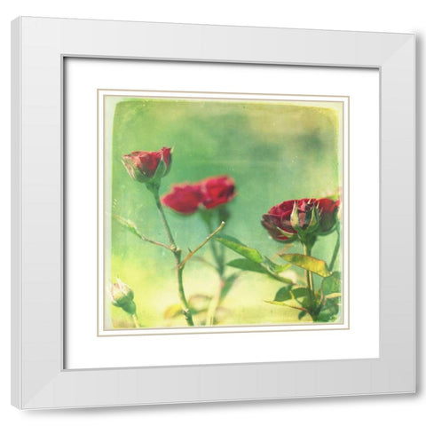 Waiting on Purple II White Modern Wood Framed Art Print with Double Matting by Jorgensen, Jennifer