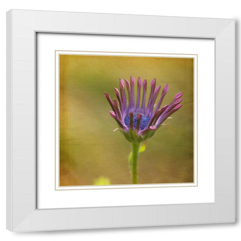 Waiting on Purple III White Modern Wood Framed Art Print with Double Matting by Jorgensen, Jennifer