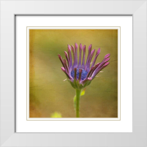 Waiting on Purple III White Modern Wood Framed Art Print with Double Matting by Jorgensen, Jennifer