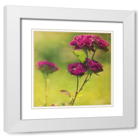 Waiting on Purple IV White Modern Wood Framed Art Print with Double Matting by Jorgensen, Jennifer