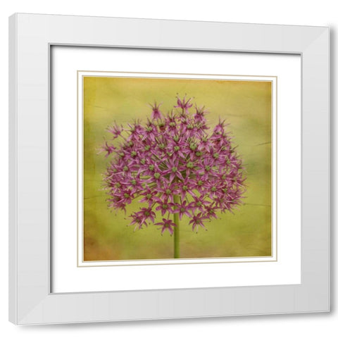Waiting on Purple V White Modern Wood Framed Art Print with Double Matting by Jorgensen, Jennifer