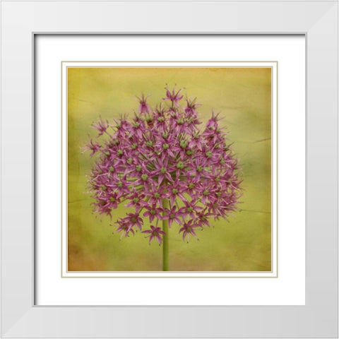Waiting on Purple V White Modern Wood Framed Art Print with Double Matting by Jorgensen, Jennifer