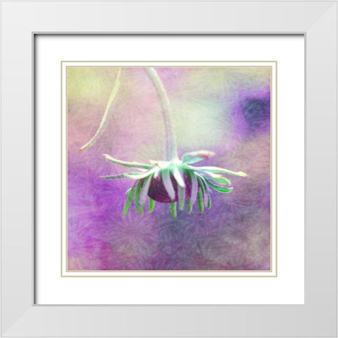Waiting on Purple VI White Modern Wood Framed Art Print with Double Matting by Jorgensen, Jennifer