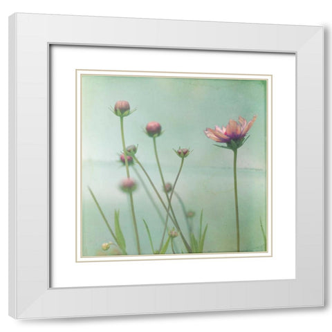 Waiting on Purple VIII White Modern Wood Framed Art Print with Double Matting by Jorgensen, Jennifer