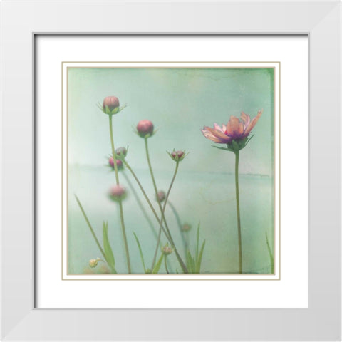 Waiting on Purple VIII White Modern Wood Framed Art Print with Double Matting by Jorgensen, Jennifer
