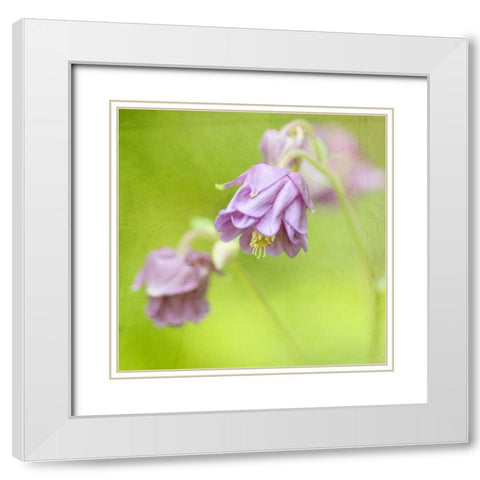 Waiting on Purple X White Modern Wood Framed Art Print with Double Matting by Jorgensen, Jennifer