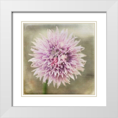 Waiting on Purple XII White Modern Wood Framed Art Print with Double Matting by Jorgensen, Jennifer