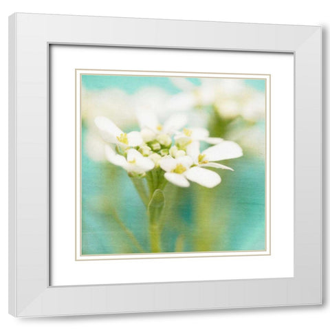 White Flowers I White Modern Wood Framed Art Print with Double Matting by Jorgensen, Jennifer