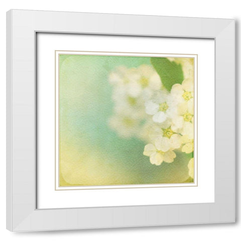 White Flowers II White Modern Wood Framed Art Print with Double Matting by Jorgensen, Jennifer