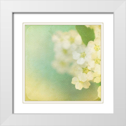 White Flowers II White Modern Wood Framed Art Print with Double Matting by Jorgensen, Jennifer