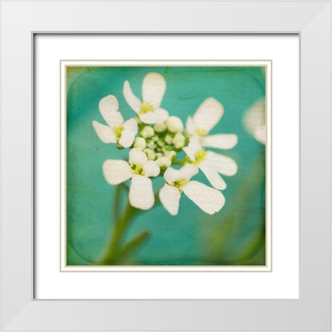 White Flowers III White Modern Wood Framed Art Print with Double Matting by Jorgensen, Jennifer